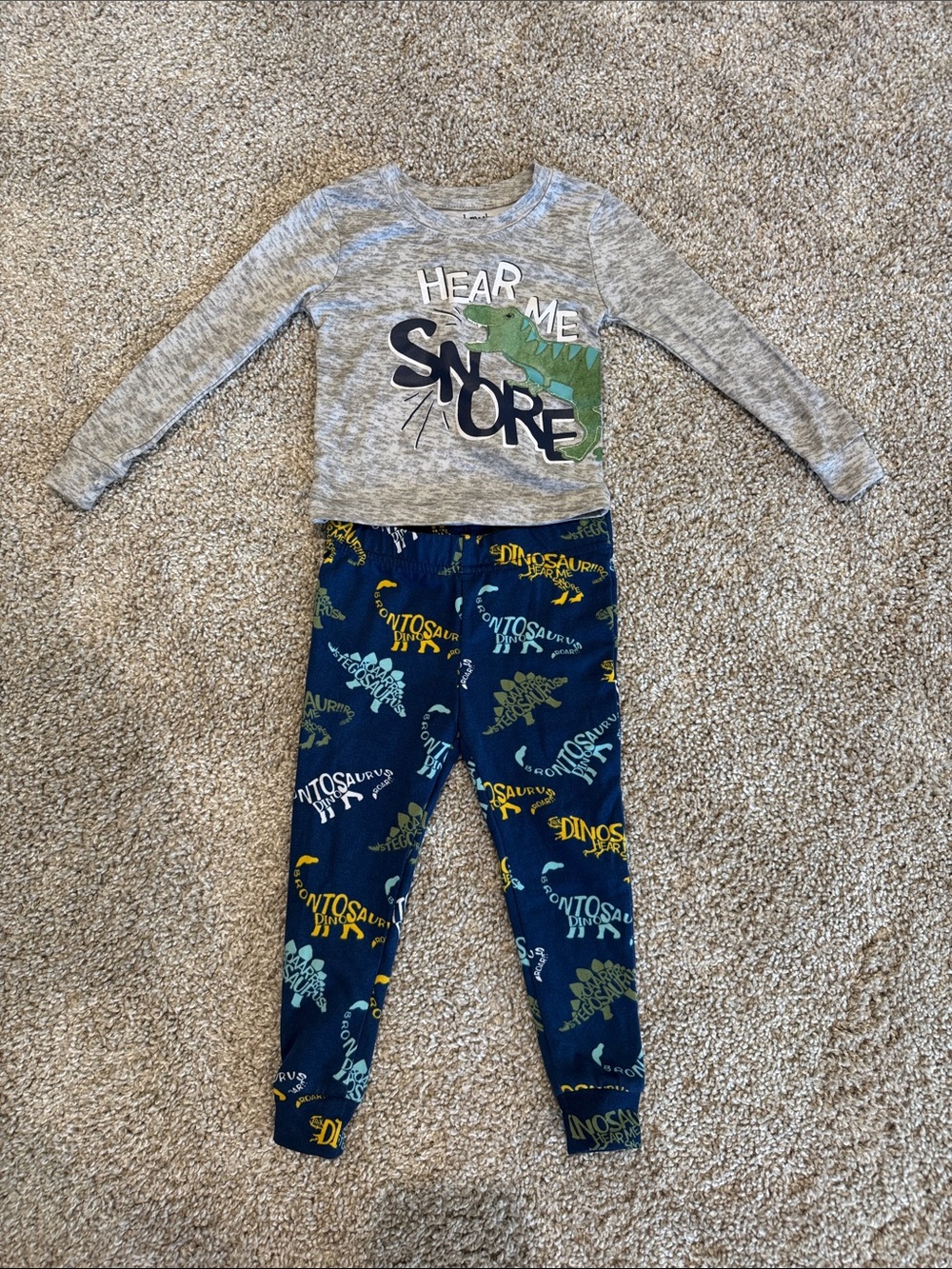 Toddler Hear Me Snore Dinosaur Pajama Set